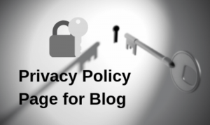 Read more about the article How to Create a Privacy Policy Page for Blogger and WordPress?