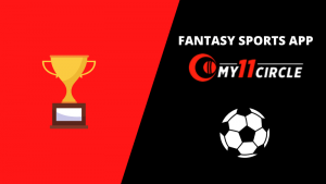 Read more about the article An Incredible Indian Platform to Play Fantasy Sports Games