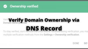 Read more about the article How to Verify Website In Search Console Via DNS Record?