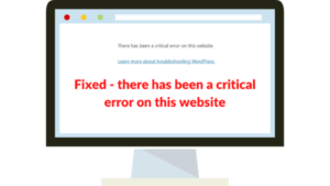 Read more about the article [Problem Solved] – There has been a critical error on this website.