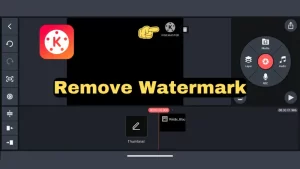 Read more about the article How to remove the watermark from Kinemaster videos?